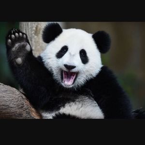 Meet your Posher, Austin